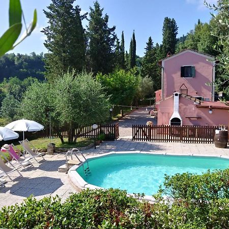 Podere Il Leccione Palaia Exterior foto